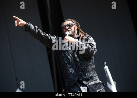 Florenz, 13. Juni, Skindred führt Live@Firenze Felsen, Ippodromo del Visarno, Firenze. Copyright Davide Merli | Alamy Stockfoto