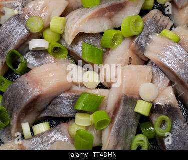 Schichten von gesalzenem Fleisch ohne Knochen, die in der Wildnis gefangen Atlantischer Hering garniert mit gehackten Frühlingszwiebeln Frühlingszwiebeln. Schwarz Naturstein Hintergrund. Clupea harengus festgelegt. Stockfoto