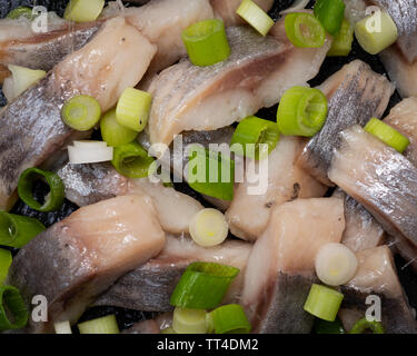 Schichten von gesalzenem Fleisch ohne Knochen, die in der Wildnis gefangen Atlantischer Hering garniert mit gehackten Frühlingszwiebeln Frühlingszwiebeln. Schwarz Naturstein Hintergrund. Clupea harengus festgelegt. Stockfoto