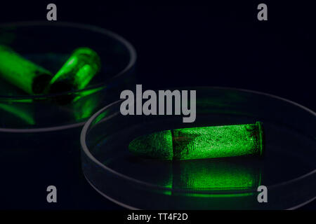 Forensische fluoreszierende Fingerabdruck Beweis auf lebende und tote 0,38 Zoll, 9 mm, Messing Pistole Kugeln, als Tatort Dokumentation Stockfoto