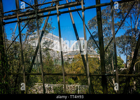 Blick auf den tropischen und gemäßigten Palm Häuser von den Gemäßigten Haus an der Royal Botanic Garden, Edinburgh, Schottland. Stockfoto