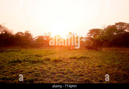 Sonnenaufgang in der Kafue National Park. Sambia Stockfoto