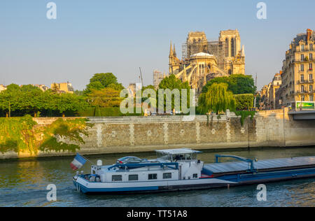 Frankreich. Paris. Sonnigen Sommermorgen auf der Seine Böschung. Blick auf Notre Dame im Gerüst nach einem Brand im Jahr 2019. Schiff auf dem Fluss Stockfoto