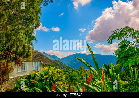 Die Blue Mountains, Jamaika, Dez 2018, Strawberry Hill Hotel Stockfoto