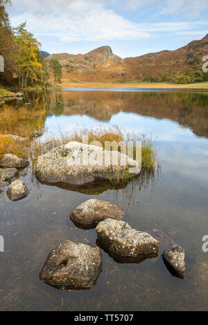 Detail der Felsen in Blea Tarn im Lake District an einem sonnigen Herbsttag. Stockfoto