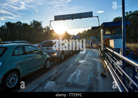 UNITED STATES - 15. August 2016: Josh Webster fährbetreiber an Weißen Fähre erhält Pendler über den Fluss in den frühen Morgenstunden. Mit der Fähre Stockfoto