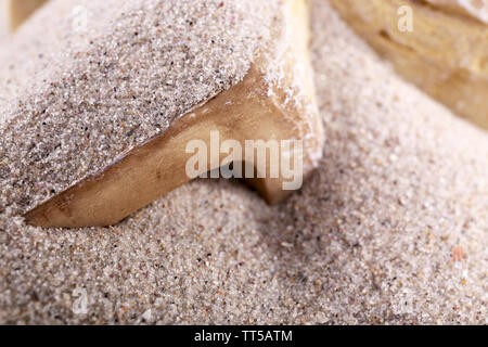 Knochen im Sand in der Nähe von Stockfoto