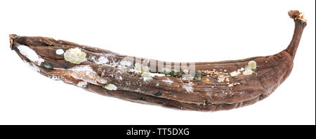 Faule Banane isoliert auf weißem Stockfoto
