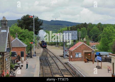 Strathspey Steam Railway; Lok 828, 812 Klasse Dampfzug im Boot von Garten. Schottland Großbritannien Stockfoto