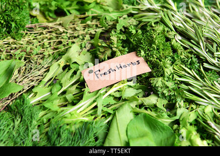 Verschiedene frische Kräuter close-up Stockfoto