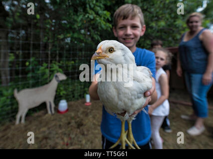 UNITED STATES - 4. Juni 2016: Zehn Jahre alten Collin Overstreet spielt gerne mit den Hühner an Willowsford Farm Standplatz aus der Gründer in Ashbur Stockfoto