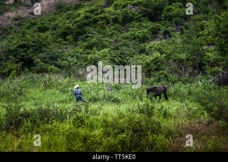 Latin rancher Wandern mit Pferd im guatemaltekischen Landschaft Stockfoto
