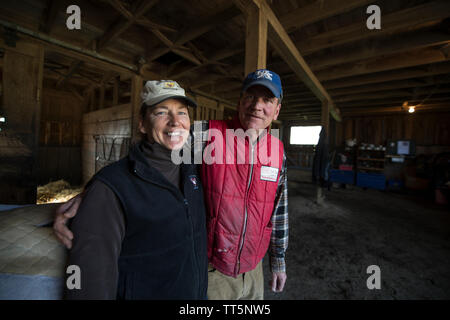 UNITED STATES - 11. April 2016: Eva und ihr Mann, Speedy Smithwick sind die Eigentümer von sonnigen Bank Farm Die Horse Farm in der Nähe von Middelburg. (Foto von Doug Stockfoto