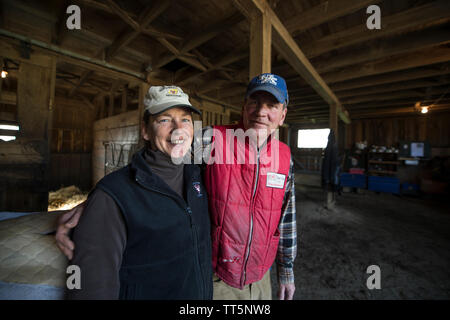 UNITED STATES - 11. April 2016: Eva und ihr Mann, Speedy Smithwick sind die Eigentümer von sonnigen Bank Farm Die Horse Farm in der Nähe von Middelburg. (Foto von Doug Stockfoto