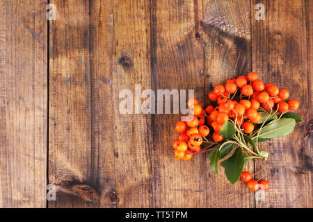 Ashberry auf braunem Holz- Hintergrund Stockfoto