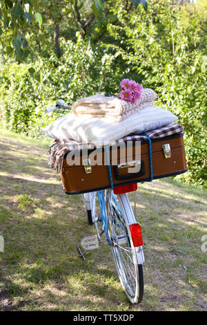 Fahrrad- und braunen Koffer mit Picknick im Schatten in Park Stockfoto