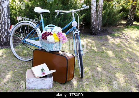 Fahrrad- und braunen Koffer mit Picknick im Schatten in Park Stockfoto