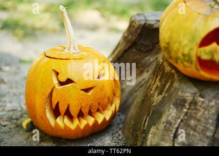 Kürbisse für Halloween auf alten Baumstumpf Stockfoto