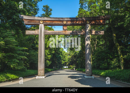 Torii der Meiji-schrein in Tokyo, Japan Stockfoto