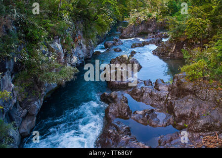 Türkisfarbene Wasser des Flusses Petrohue im Patagonia Region der Anden in Chile, in seinem Ursprung sind die Petrohue Wasserfälle. Stockfoto