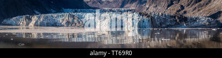 Panorama/Pano Vista von der Johns Hopkins Gletscher, einer 12 km langen Gletscher Glacier Bay National Park, Alaska. Oktober 2017 gefangen. Stockfoto