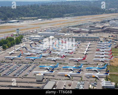 Juni 2019: Überlauf von Flugzeugen des Typs Icelandair und TUI Boeing 737 max in der Boeing Field Factory in der Nähe von Seattle auf dem Mitarbeiterparkplatz, WA, USA Stockfoto