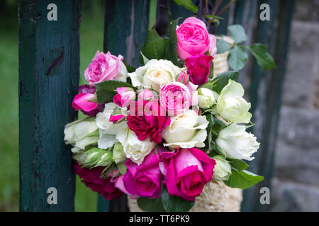 Blumenstrauß aus duftenden Englisch rosa und weißen Rosen in einer Tasche aus Bast hängt am Zaun Stockfoto
