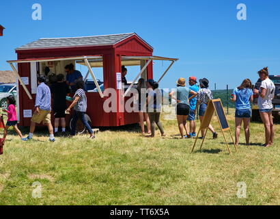 Middlefield, CT USA. Jun 2019. Kunden, die Ihre Kisten voller Erdbeeren abgewogen erhalten vor dem Kauf. Stockfoto