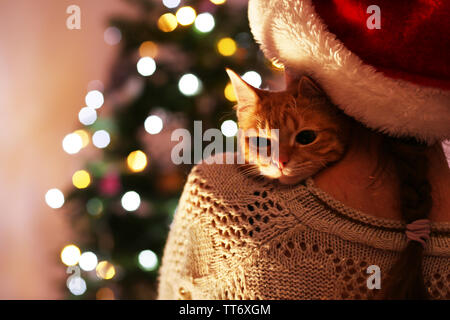 Rote Katze in den Händen in der Nähe von Weihnachten Baum Stockfoto