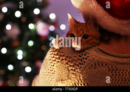 Rote Katze in den Händen in der Nähe von Weihnachten Baum Stockfoto