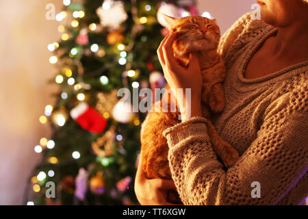 Rote Katze in den Händen in der Nähe von Weihnachten Baum Stockfoto