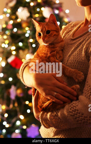 Rote Katze in den Händen in der Nähe von Weihnachten Baum Stockfoto