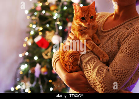 Rote Katze in den Händen in der Nähe von Weihnachten Baum Stockfoto