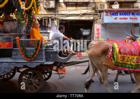 Auf einem Jain Urlaub, der Priester, der Vornehmste im Jain religiösen Gemeinschaft in Mumbai, Indien, eine feierliche Wagen sitzt, das verschiedenen Jain Tempel genommen Stockfoto