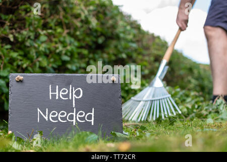 Hilfe gesucht in den Garten. Man harkt Blätter eines frisch geschnittenen Hainbuche Hecke. Die Worte "Hilfe gebraucht" sind auf eine Schiefertafel geschrieben. Stockfoto