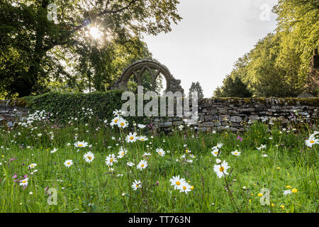 Teesdale, County Durham, UK. 15. Juni 2019. UK Wetter. Nach Tagen der schweren Regen, Überschwemmungen in vielen Teilen des Vereinigten Königreichs die Sonne bricht durch die Beleuchtung eine wilde Blume Garten in Middleton-in-Teesdale verursacht. Quelle: David Forster/Alamy leben Nachrichten Stockfoto