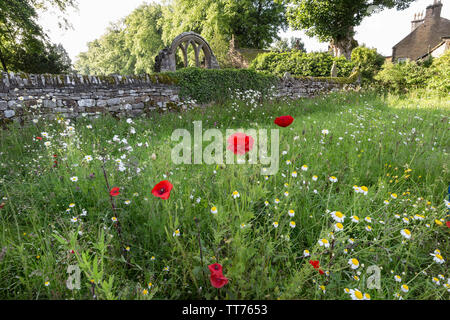 Teesdale, County Durham, UK. 15. Juni 2019. UK Wetter. Nach Tagen der schweren Regen, Überschwemmungen in vielen Teilen des Vereinigten Königreichs die Sonne bricht durch die Beleuchtung eine wilde Blume Garten in Middleton-in-Teesdale verursacht. Quelle: David Forster/Alamy leben Nachrichten Stockfoto