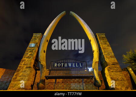 Walknochen Arch auf Holz in Rothwell Lane, Leeds Stockfoto