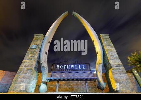 Walknochen Arch auf Holz in Rothwell Lane, Leeds Stockfoto