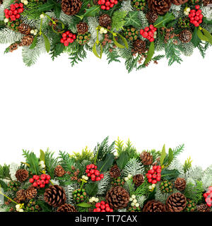 Weihnachten und Winter Hintergrund Grenze mit Holly, schneebedeckte Tannen, Mistel, Zeder und Efeu Blätter mit Tannenzapfen auf Weiß mit Kopie Raum Fichte. Stockfoto