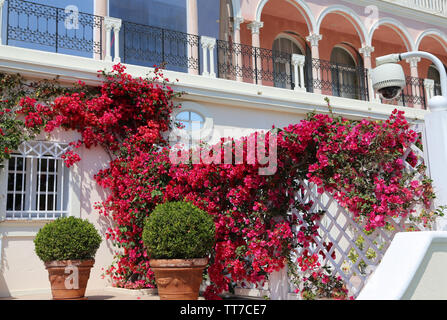 Nizza, Frankreich - 17. Juni 2014: Villa Ephrussi de Rothschild in Saint Jean Cap Ferrat Stockfoto