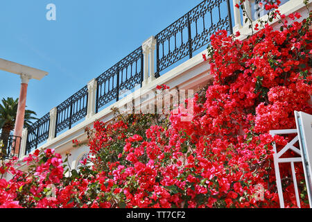 Nizza, Frankreich - 17. Juni 2014: Villa Ephrussi de Rothschild in Saint Jean Cap Ferrat Stockfoto