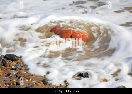 Ein Blick auf die taumelscheibe Rundung alten Mauerwerk an der Küste in den Warenkorb Lücke, Happisburgh, Norfolk, England, Vereinigtes Königreich, Europa. Stockfoto