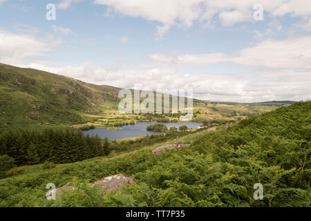 Blick auf Gougane Barra See von den umliegenden Hügeln. Gougane Barra Forest Park in der Grafschaft Cork, Irland. Stockfoto