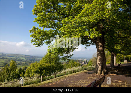 Bäume auf Park in Shaftesbury, mit Blick auf die St. James Kirche und die umliegende Landschaft. Stockfoto