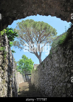 Höhenweg mit Stufen und Regenschirm PINIEN in Ravello, Amalfi ROM, ITALIEN. Stockfoto