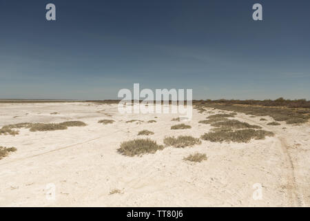 Folgen der Aralsee Katastrophe. Sandy Salzwüste auf dem Gelände der ehemaligen unteren des Aralsees. Kasachstan Stockfoto