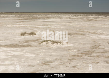 Folgen der Aralsee Katastrophe. Sandy Salzwüste auf dem Gelände der ehemaligen unteren des Aralsees. Kasachstan Stockfoto