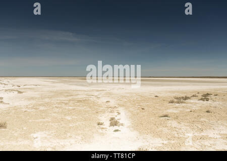 Folgen der Aralsee Katastrophe. Sandy Salzwüste auf dem Gelände der ehemaligen unteren des Aralsees. Kasachstan Stockfoto