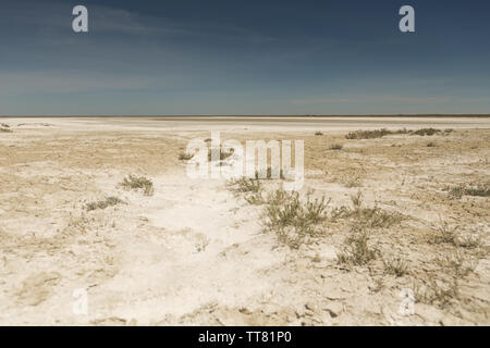 Folgen der Aralsee Katastrophe. Sandy Salzwüste auf dem Gelände der ehemaligen unteren des Aralsees. Kasachstan Stockfoto